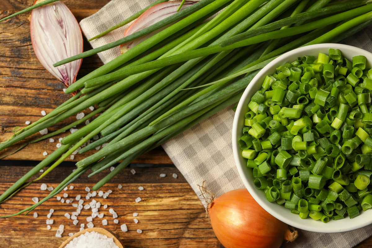 Chives (Allium schoenoprasum) Seeds – 500 ct