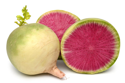 Watermelon Radish (Raphanus sativus) Seeds – 300 ct