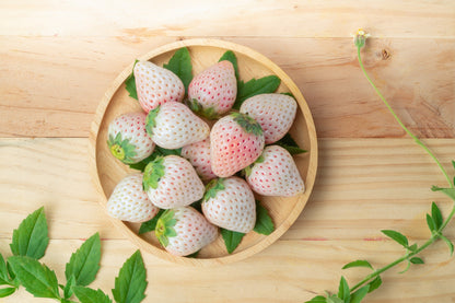 100 WHITE SOUL STRAWBERRY Fragaria Vesca Fruit Flower Berry Seeds