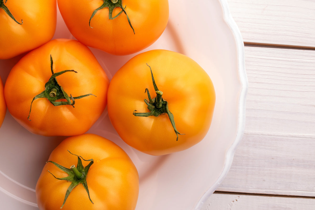 Golden Jubilee Tomato (Solanum lycopersicum) Seeds – 150 ct