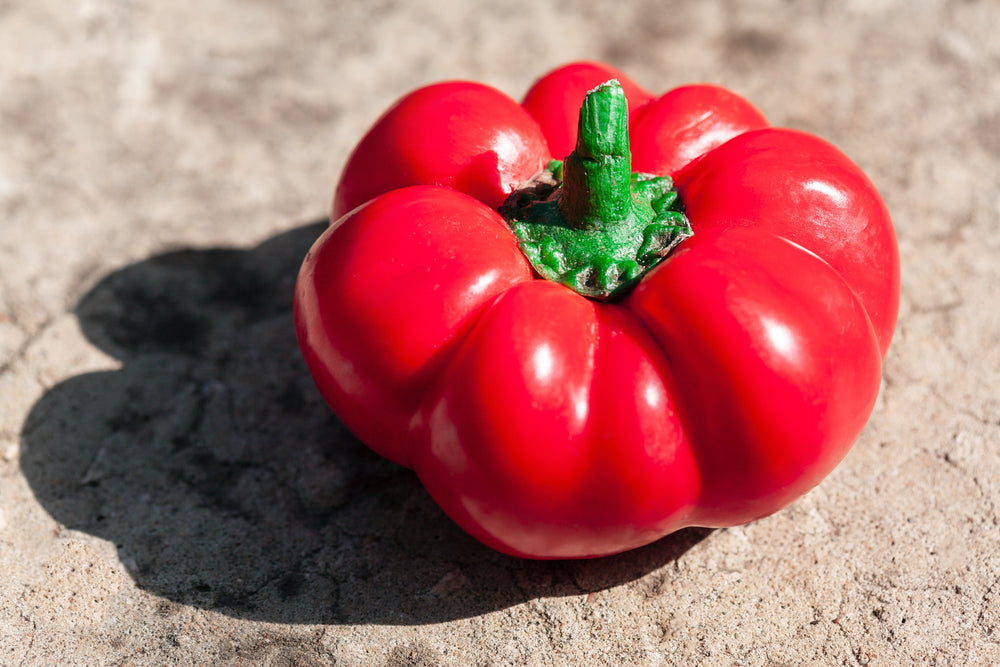 100 Pimento Pepper (Capsicum Annuum) Seeds
