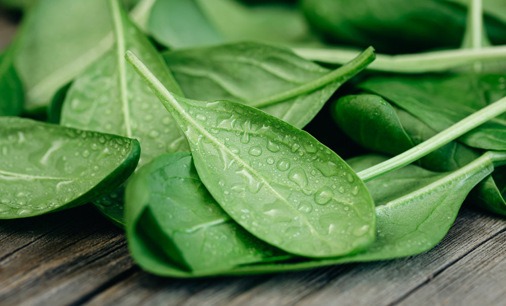 400 Monstrueux De Viroflay Spinach (Spinacia Oleracea) Seeds
