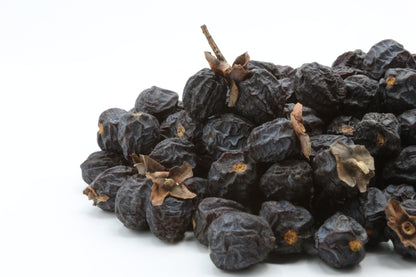 Date Plum Persimmon (Diospyros lotus) Seeds – 10 ct