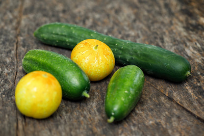 100 LEMON CUCUMBER Cucumis Sativus Fruit Vegetable Seeds