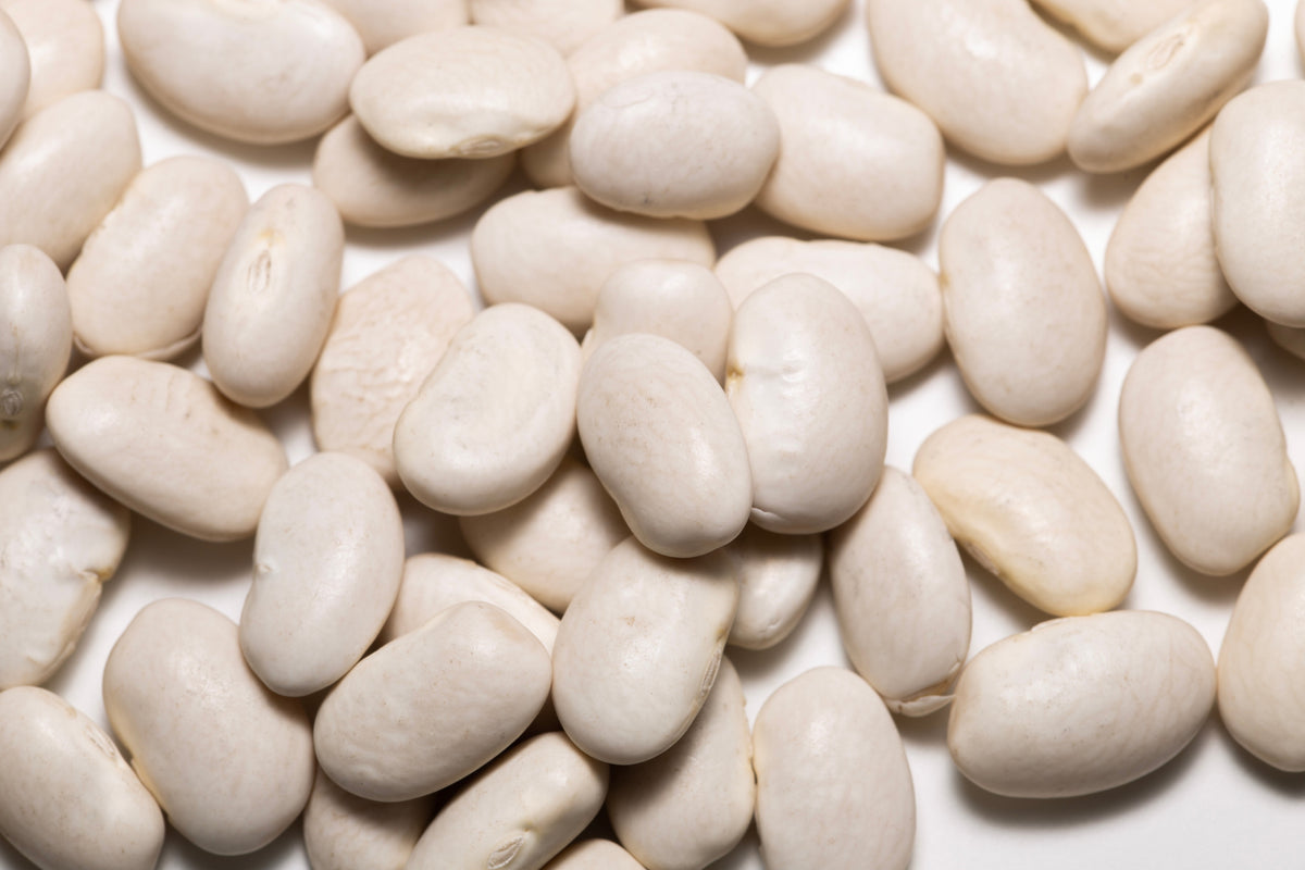 Cannellini Bean (Phaseolus vulgaris) Seeds – 30 ct