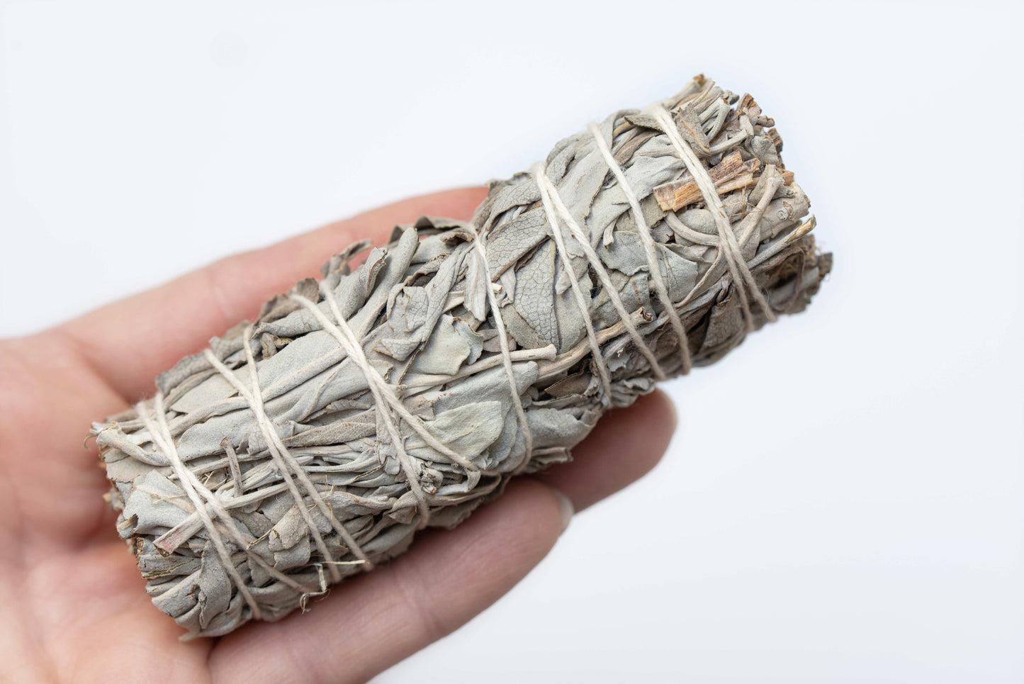 75 White Sage (Salvia Apiana) Seeds