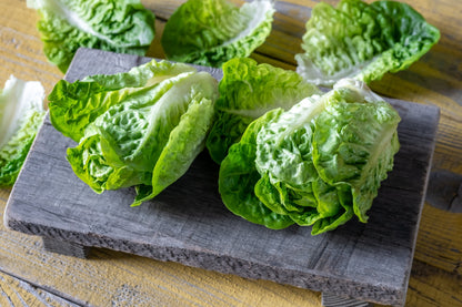 3000 Parris Island Romaine Lettuce (Lactuca Sativa) Seeds