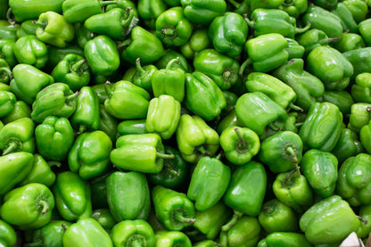 200 Sweet Green CALIFORNIA WONDER Bell PEPPER Capsicum Annuum Vegetable Seeds