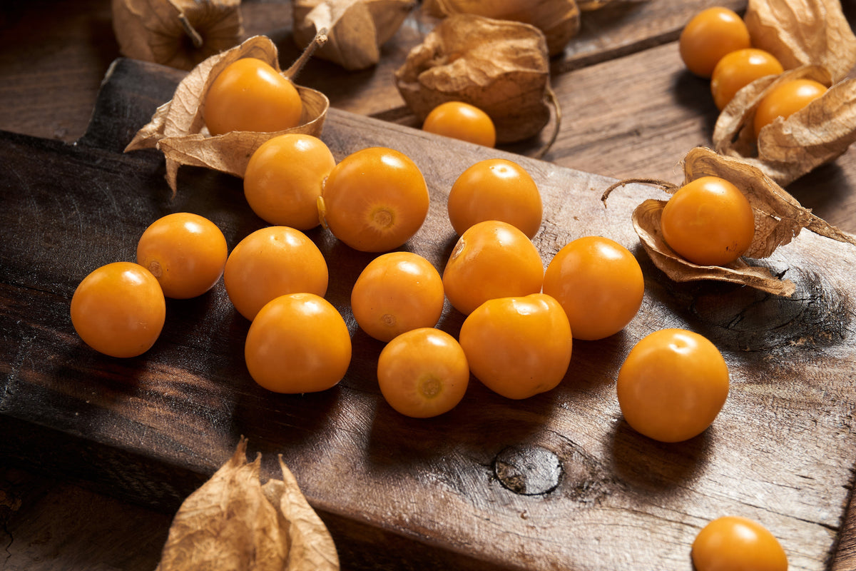 Pineapple Ground Cherry (Physalis pruinosa) Seeds – 50 ct