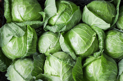 500 DANISH BALLHEAD CABBAGE Brassica Oleracea Capitata Vegetable Seeds