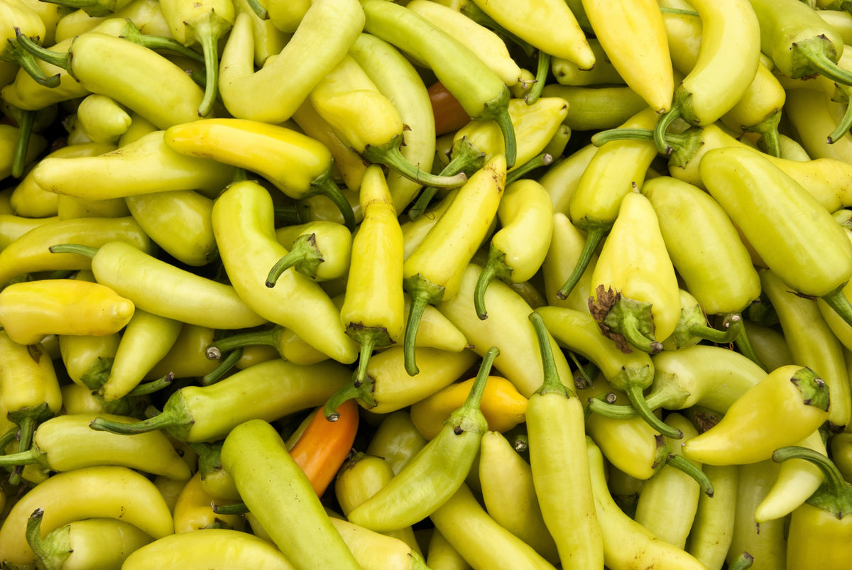 Sweet Banana Pepper (Capsicum annuum) Seeds – 250 ct