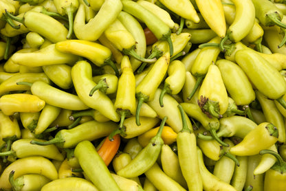 Sweet Banana Pepper (Capsicum annuum) Seeds – 250 ct