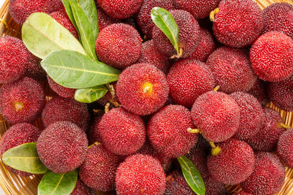 25 STRAWBERRY TREE Edible Red Berry Tree Arbutus Unedo Seeds Irish Killarney