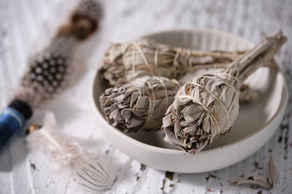 75 White Sage (Salvia Apiana) Seeds