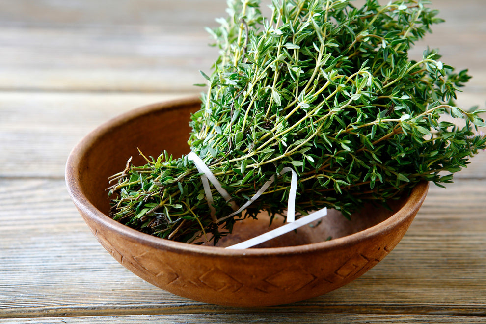 1000 Common GARDEN THYME English, German, French, or Winter Thymus Vul ...