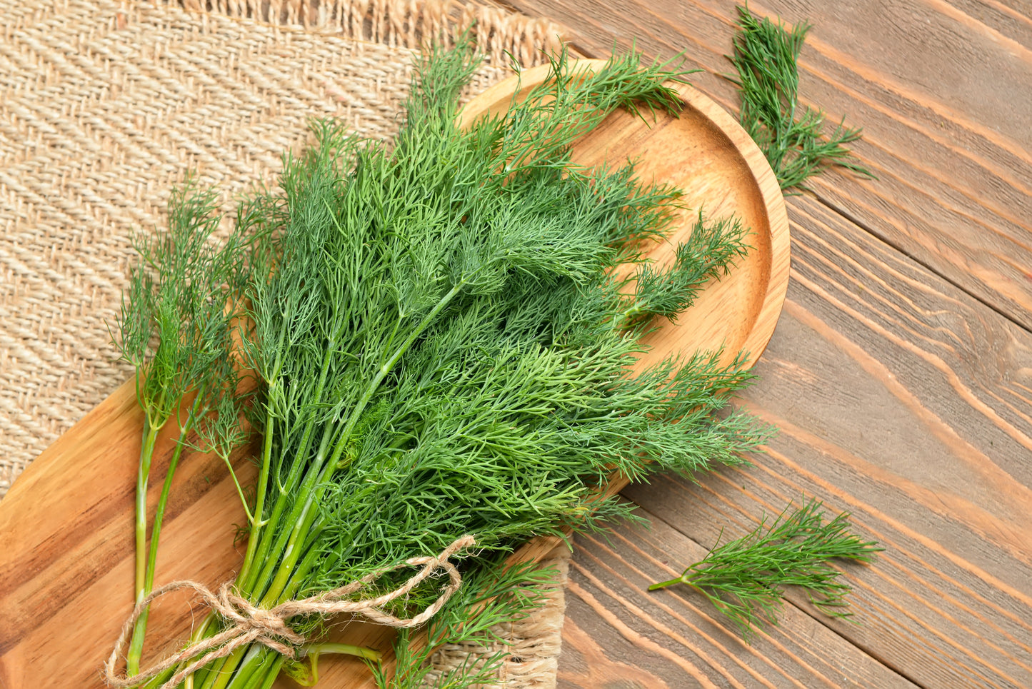 2500 Bouquet Dill (Anethum Graveolens) Seeds