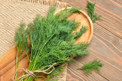 2500 Bouquet Dill (Anethum Graveolens) Seeds