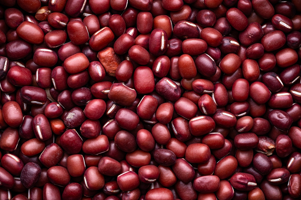 50 Adzuki Bean (Phaseolus Angularis) Seeds