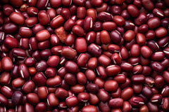 50 Adzuki Bean (Phaseolus Angularis) Seeds