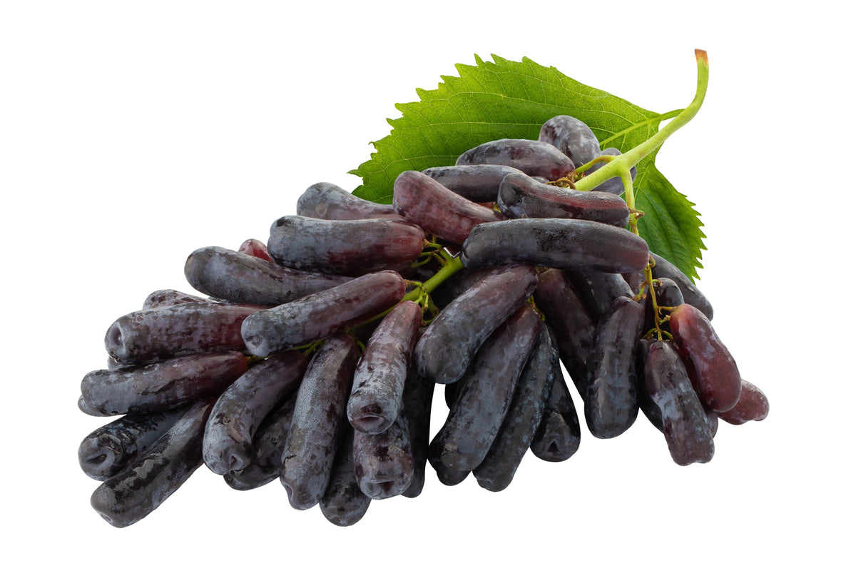 Black Finger Grape (Vitis vinifera) Seeds – 5 ct