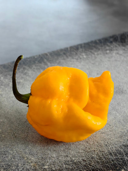 Yellow Carolina Reaper Pepper (Capsicum chinense) Seeds – 10 ct