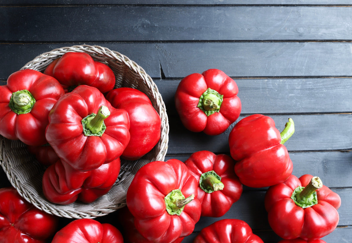 50 Organic Sheepnose Pimento Pepper (Capsicum Annuum) Seeds