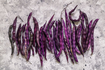 40 Royalty PURPLE POD BEAN Phaseolus Vulgaris Vegetable Seeds