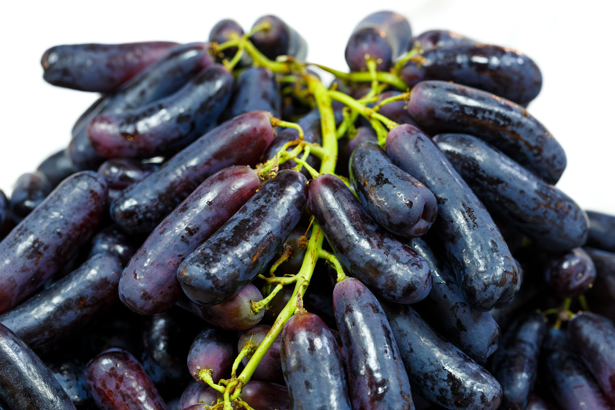 Black Finger Grape (Vitis vinifera) Seeds – 5 ct