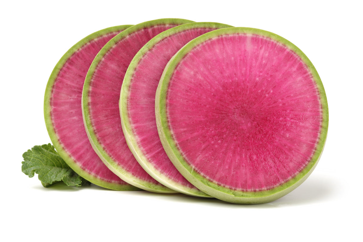 Watermelon Radish (Raphanus sativus) Seeds – 300 ct