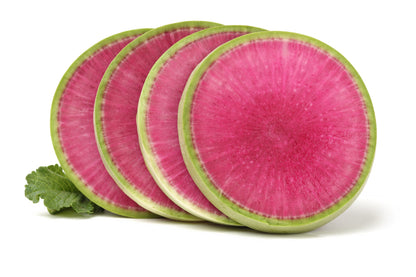 Watermelon Radish (Raphanus sativus) Seeds – 300 ct