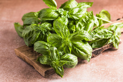 1500 SWEET BASIL Ocimum Basilicum Herb White Flower Seeds