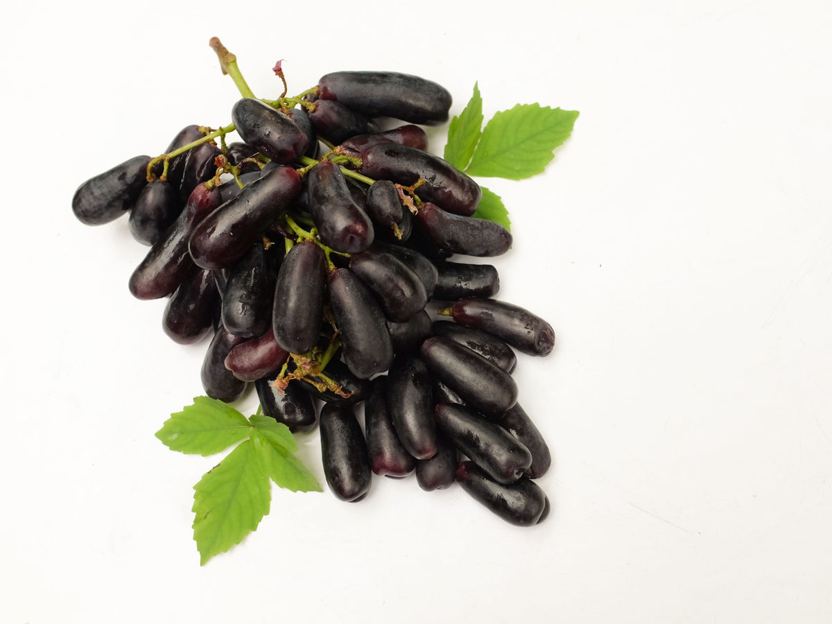 Black Finger Grape (Vitis vinifera) Seeds – 5 ct