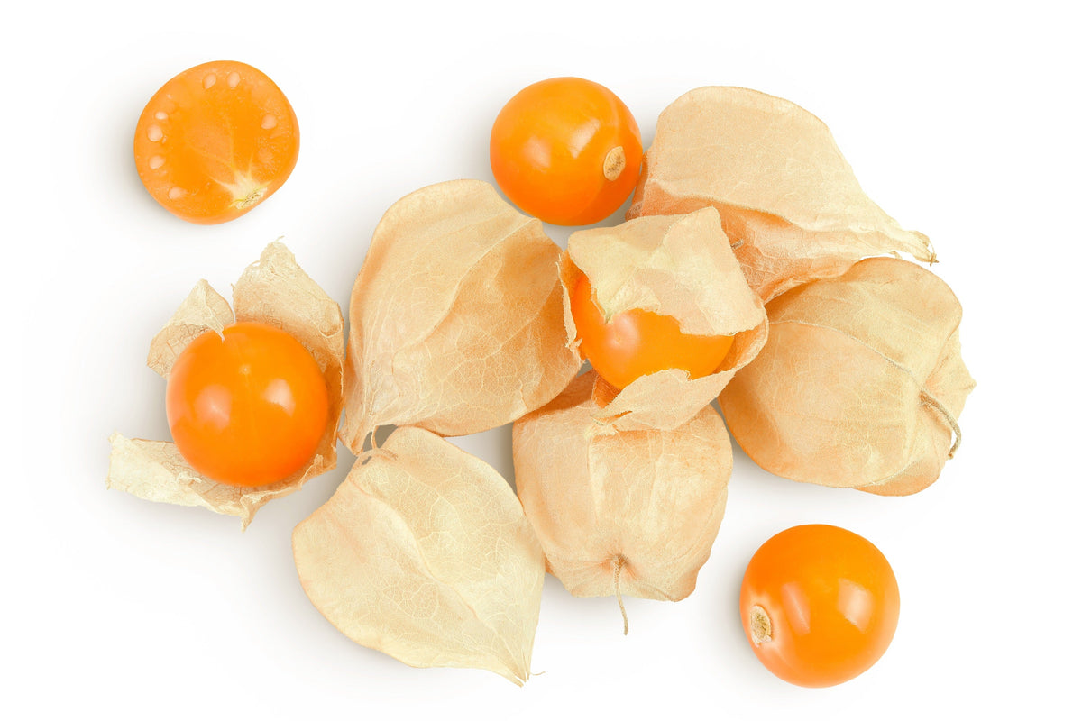 Pineapple Ground Cherry (Physalis pruinosa) Seeds – 50 ct