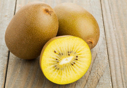50 Golden Kiwi Fruit (Actinidia Chinensis) Seeds