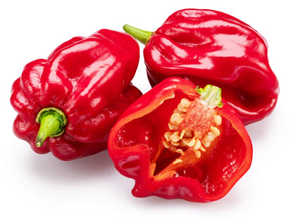 50 Red Habañero Pepper (Capsicum Chinense) Seeds