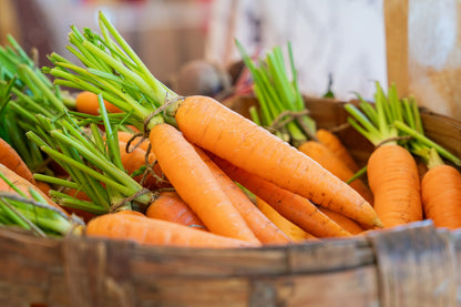1500 Imperator 58 Carrot (Daucus Carota) Seeds