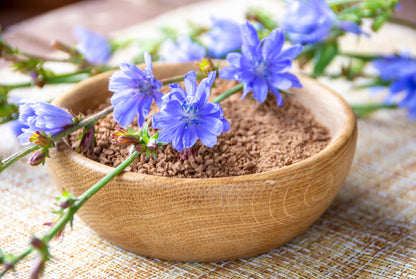 1000 Chicory (Chicorium Cicorium Intybus) Seeds