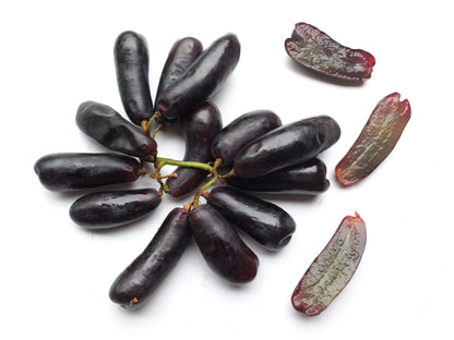 Black Finger Grape (Vitis vinifera) Seeds – 5 ct