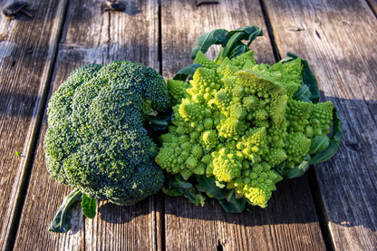 500 ROMANESCO BROCCOLI Broccoflower Roman Cauliflower Pyramid Broccolo Brassica Oleracea Vegetable Seeds