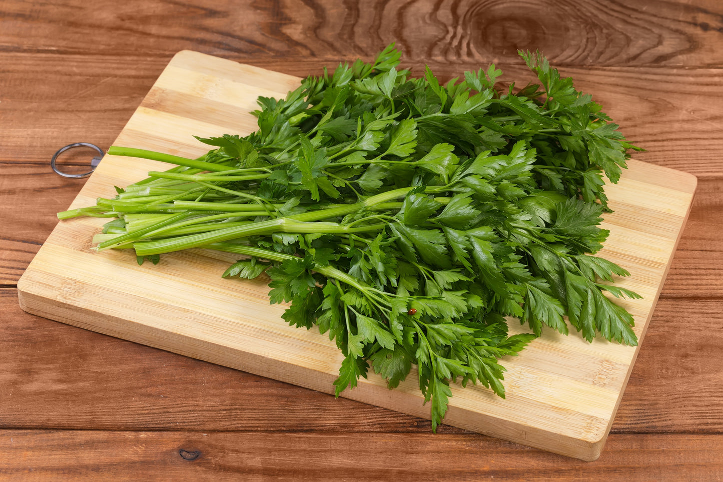 1000 Italian Flat Leaf Parsley (Petroselinum Crispum Neapolitanum) Seeds