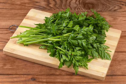1000 Italian Flat Leaf Parsley (Petroselinum Crispum Neapolitanum) Seeds