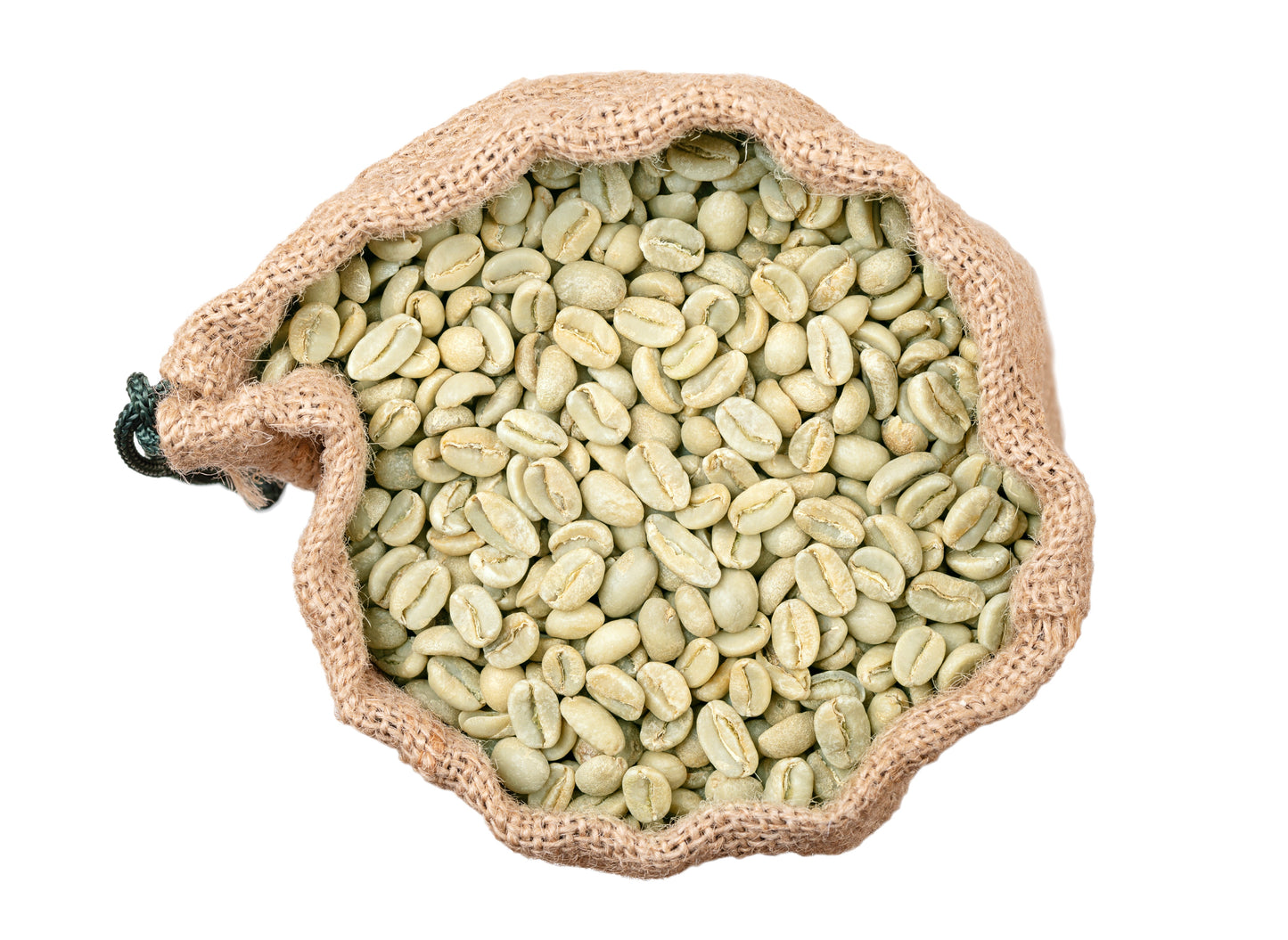 15 Arabica Coffee  Seeds