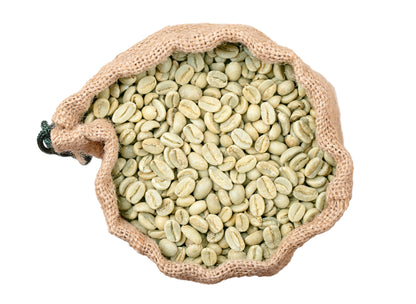 15 Arabica Coffee  Seeds