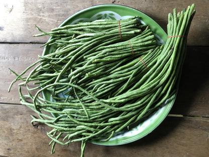 30 Yard Long Bean (Phaseolus Vulgaris) Seeds