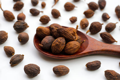 Cardamom (Elettaria cardamomum) Seeds – 5 ct