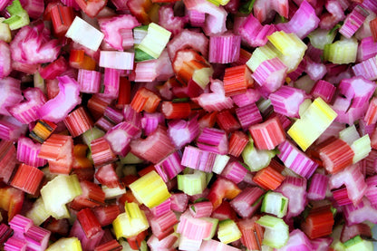 150 Rainbow Mix Swiss Chard (Beta Vulgaris) gSeeds