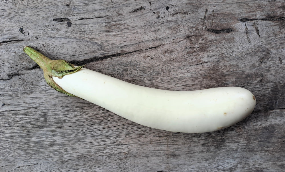 40 White Star FINGER FRUIT EGGPLANT Solanum Melongena Aubergine Fruit Vegetable Seeds