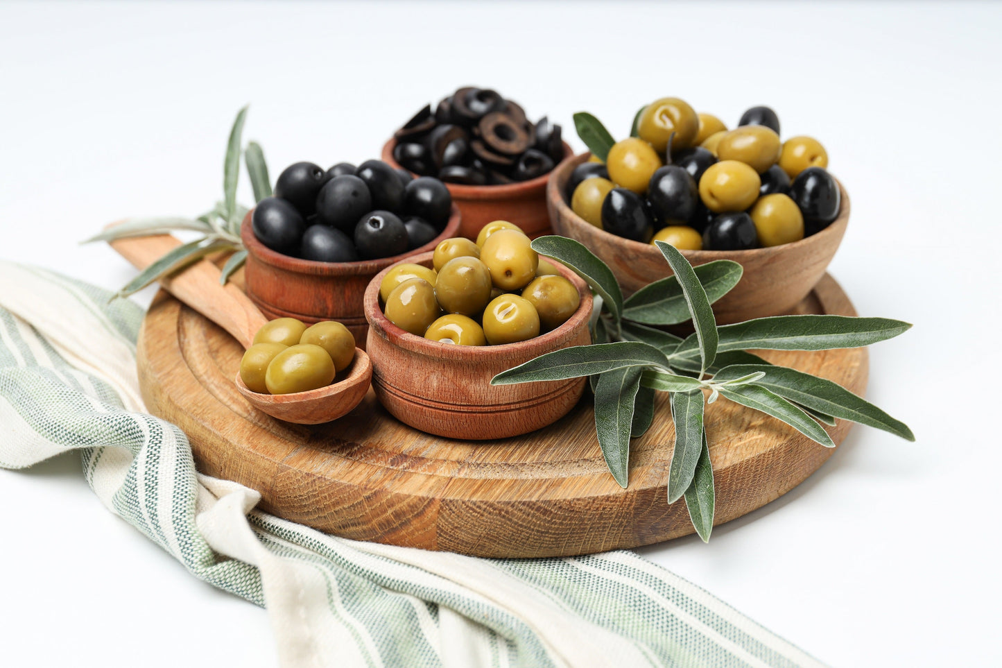 10 Canino Olive Tree (Olea Europaea Canino) Seed