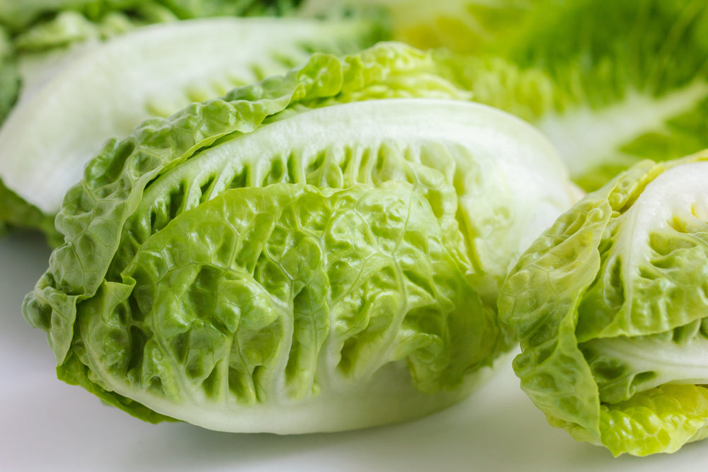 3000 Little Gem Lettuce (Lactuca Sativa) Seeds