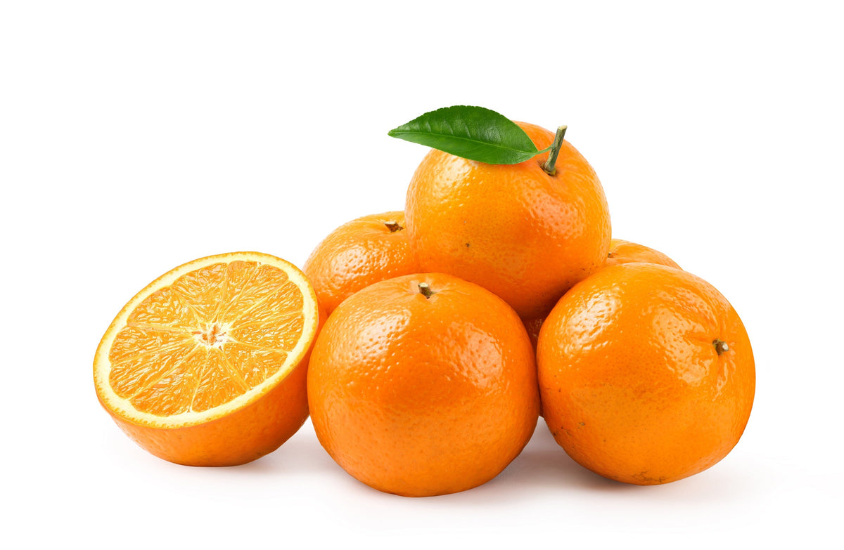 20 TANGERINE Mandrin Orange Citrus Reticulata Fruit Tree Seeds